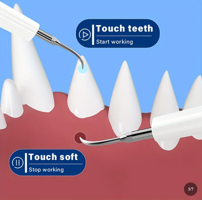 FreshSmile Dog Dental Tool