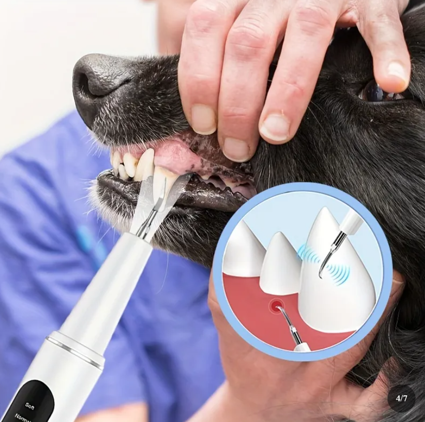 FreshSmile Dog Dental Tool